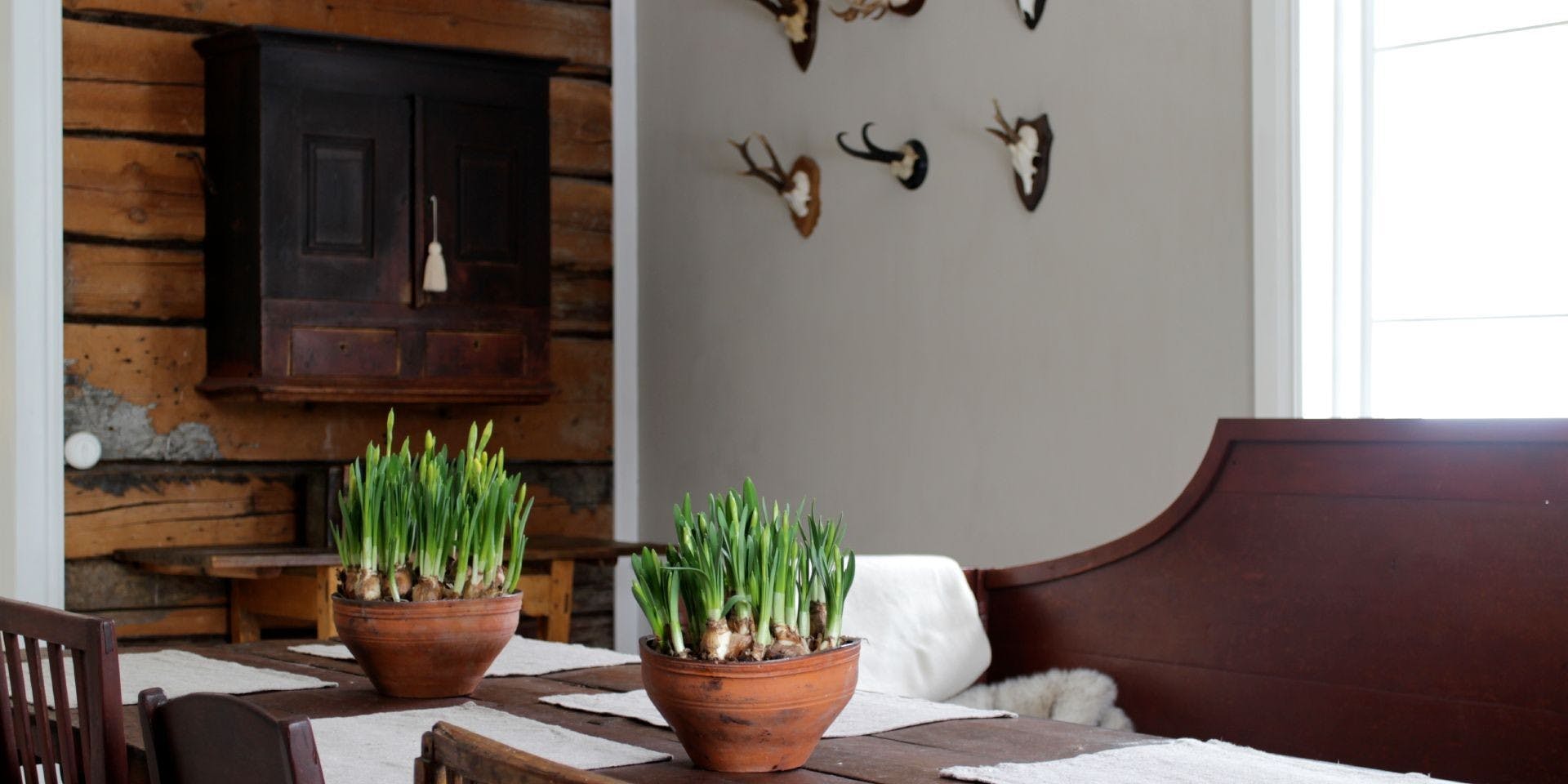 Textured Beige Dining Room with Burgundy Wooden Table and Wooden Feature Wall