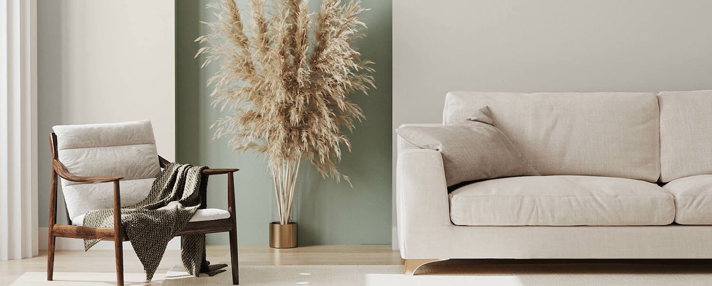 furniture against mushroom wall