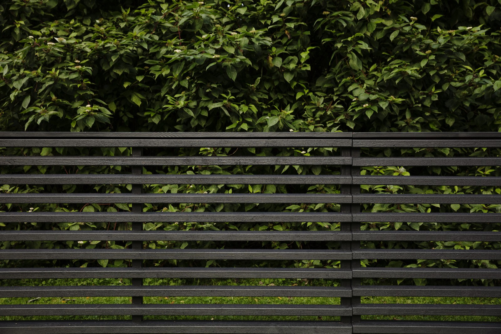 Dark grey fence in front of trees