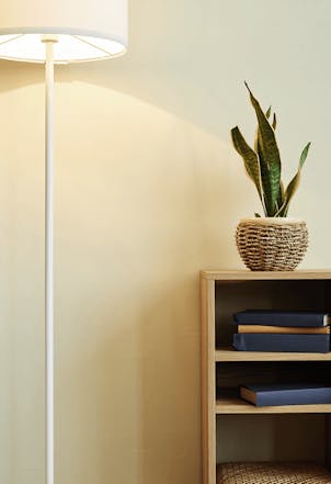 Wall painted with Muse G385