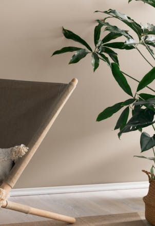 pale brown living room wall