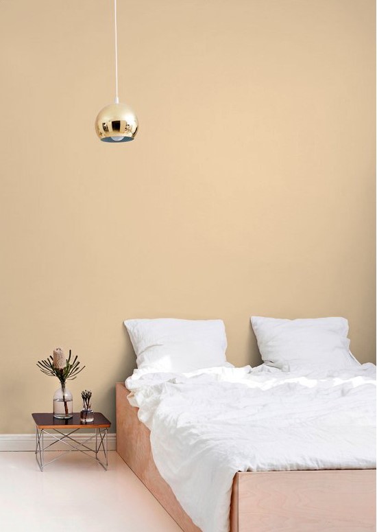 warm yellow paint colour