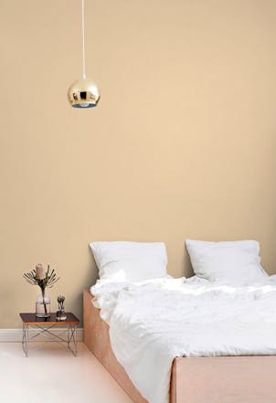 warm yellow paint colour