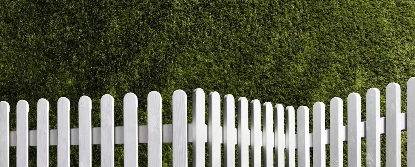 Fully renovated fence
