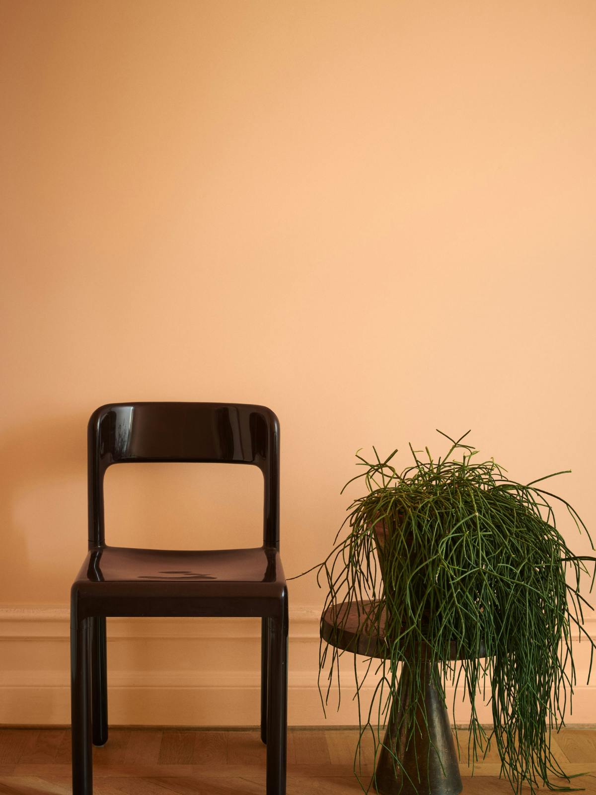 chair and plant with peach wall backdrop