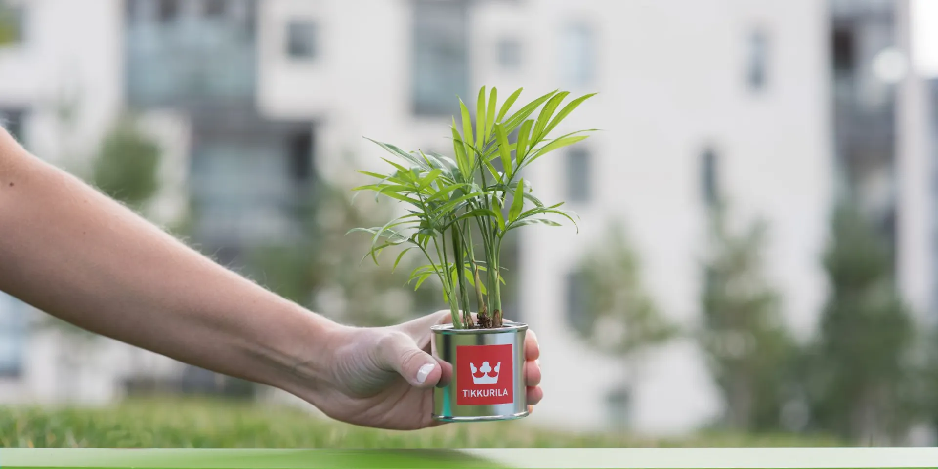 handing holding a paint pot with a plant sprouting from it