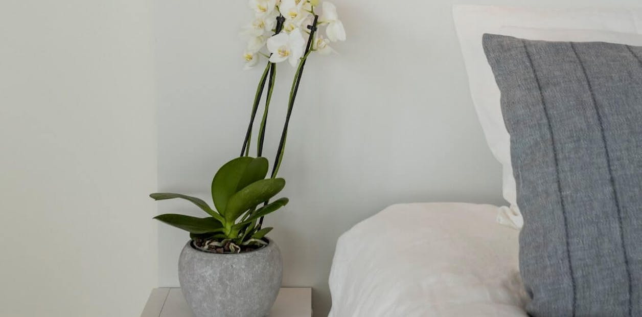 neutral bedroom wall with flower