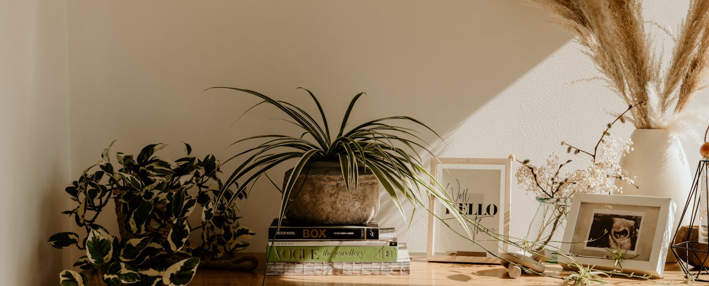 Room painted with a neutral RAL paint colour