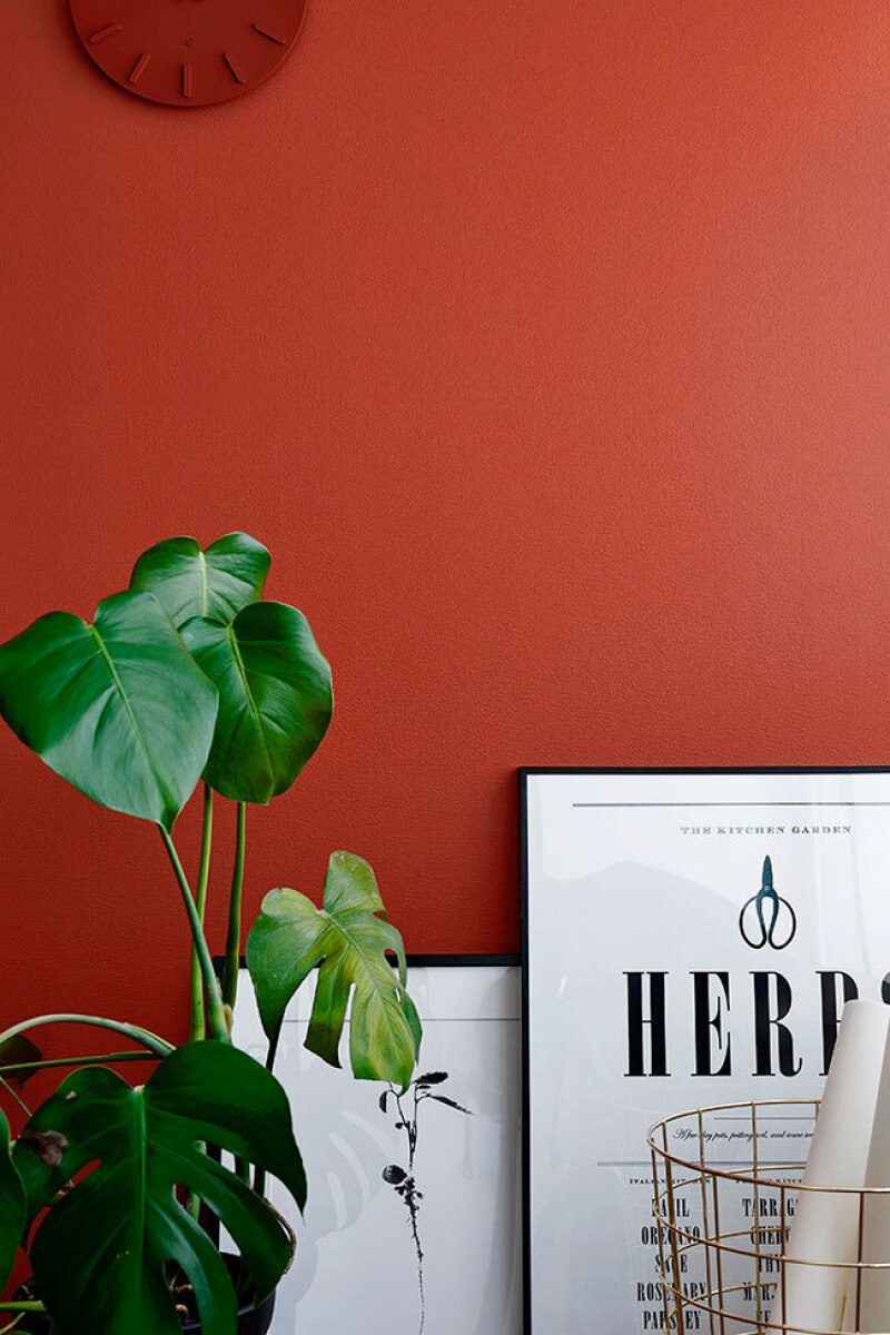 close up for posters and plant against red wall