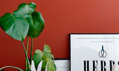 close up for posters and plant against red wall