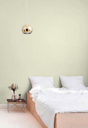 light green wall painted with Muse G385