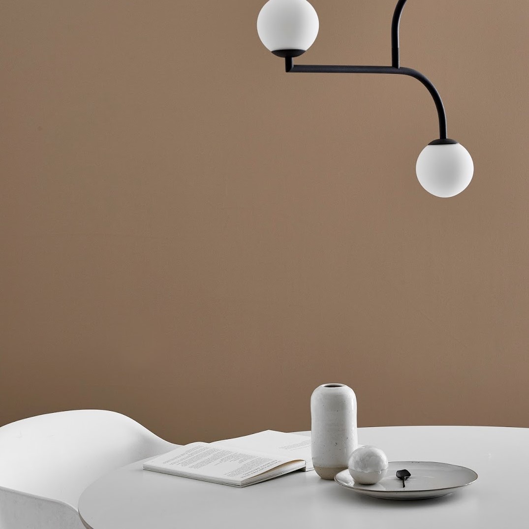 Earthy brown paint colours 