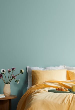 lighter teal living room wall