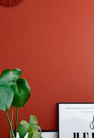 Wall painted with Tomato M316