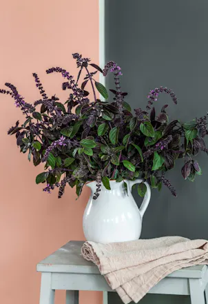 Magnolia H320 and black wall