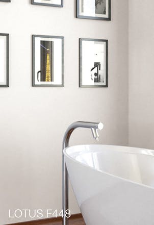wall painted with Lotus F448