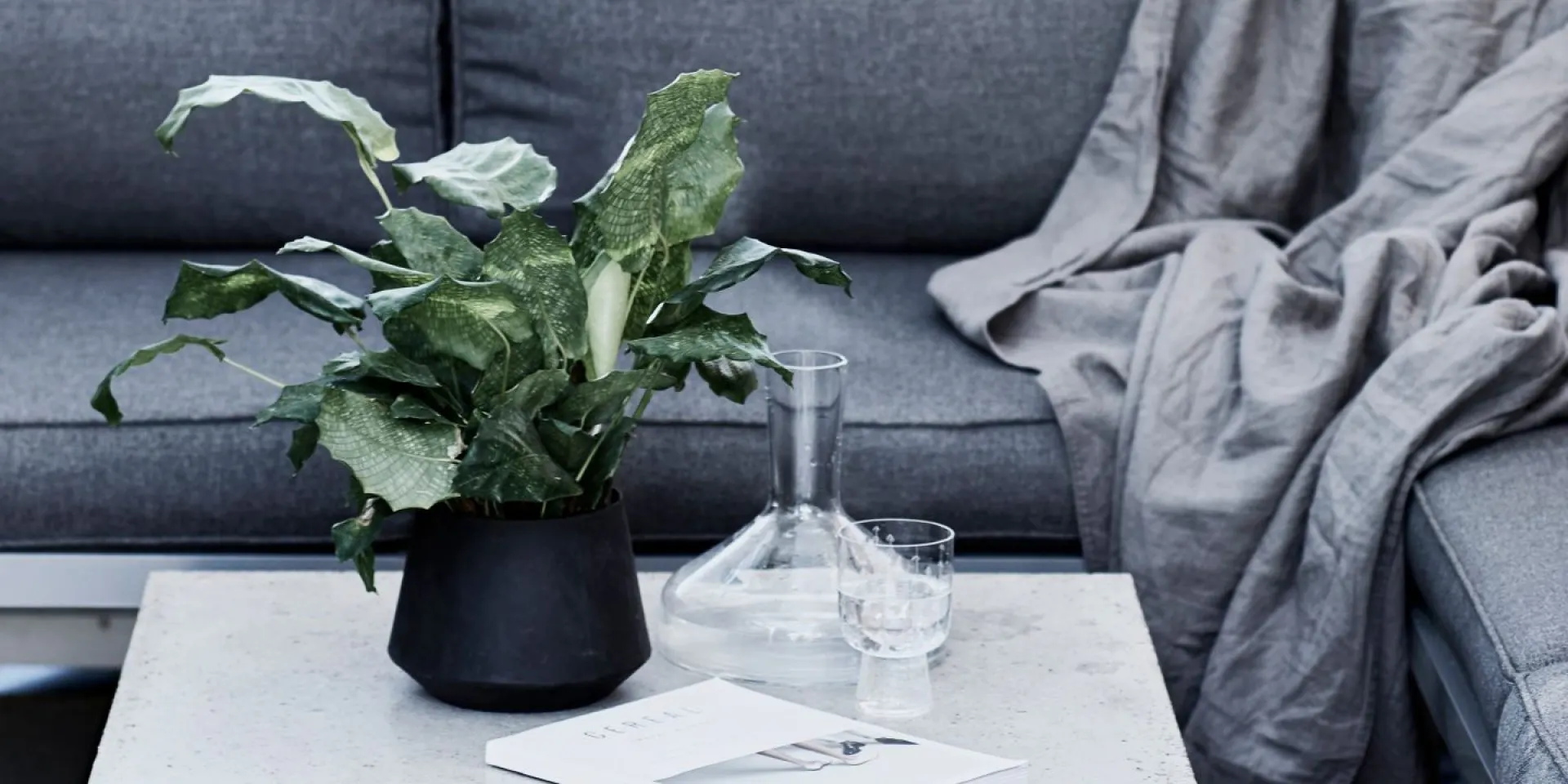 Grey Couch and Concrete Garden Table with Plant and Glassware