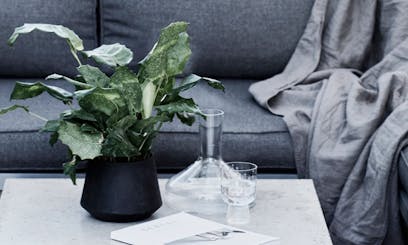Concrete Garden Table with Plant, Glassware and Magazine
