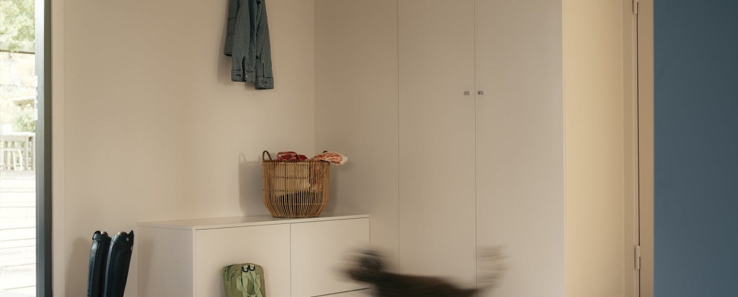dog running through entranceway with neutral and blue painted background