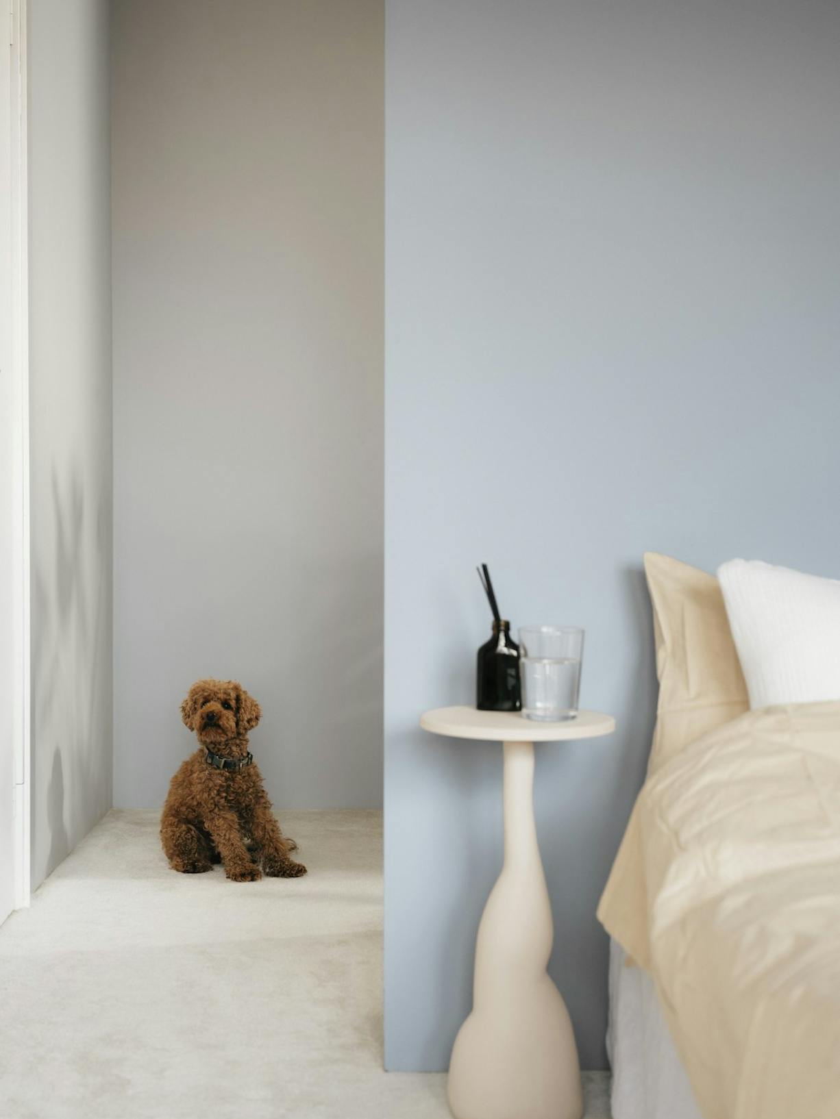 cropped view of painted pale blue wall in forefront bedroom and grey background