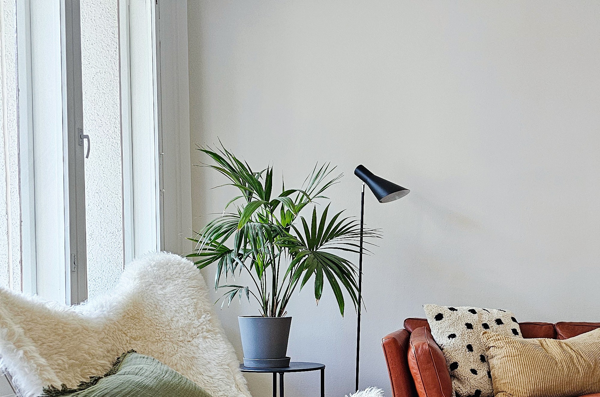 Embracing Minimalism Through Colour
