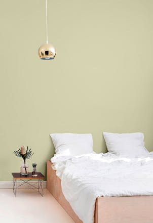 pale olive green bedroom wall