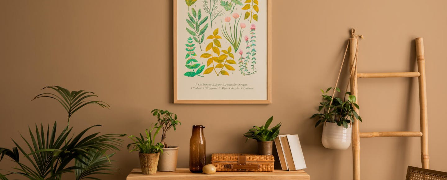 Wall painted with a soft caramel paint colour