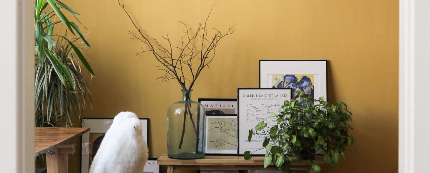 Muted yellow wall with plants