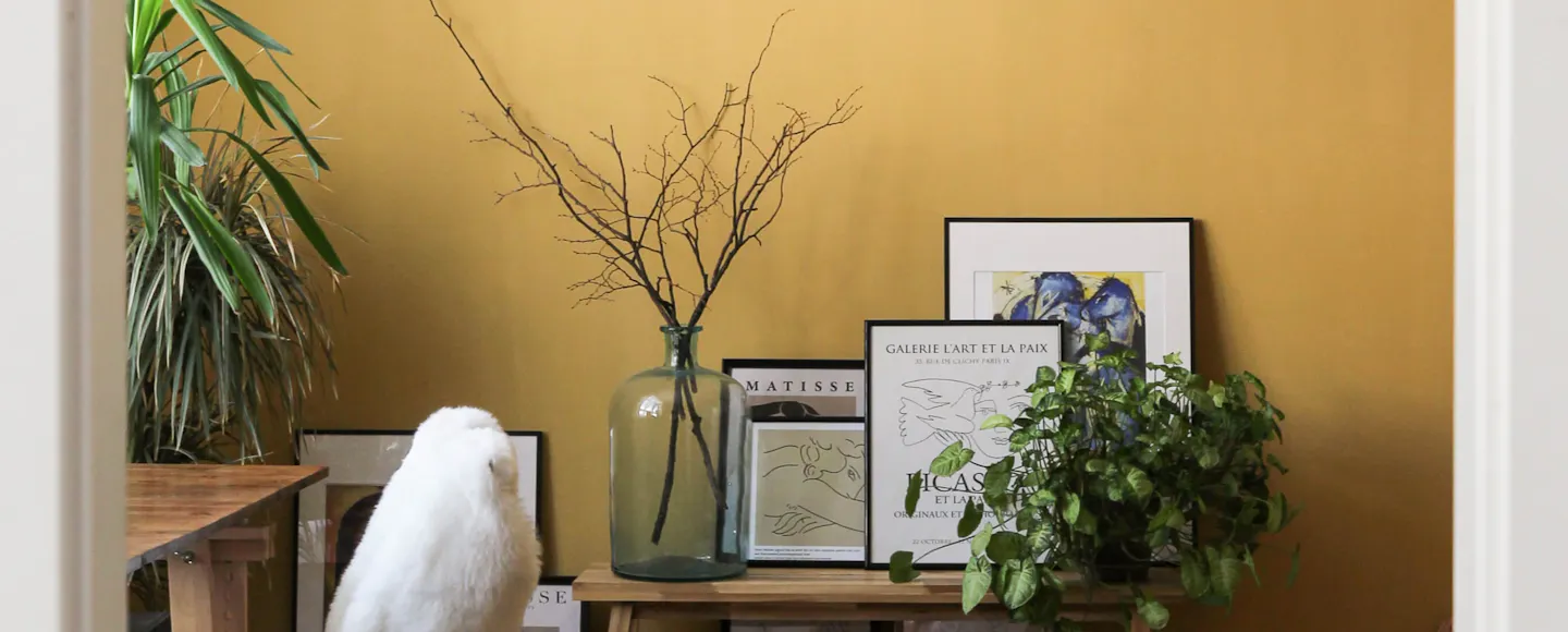 Room painted with a warming yellow RAL paint colour