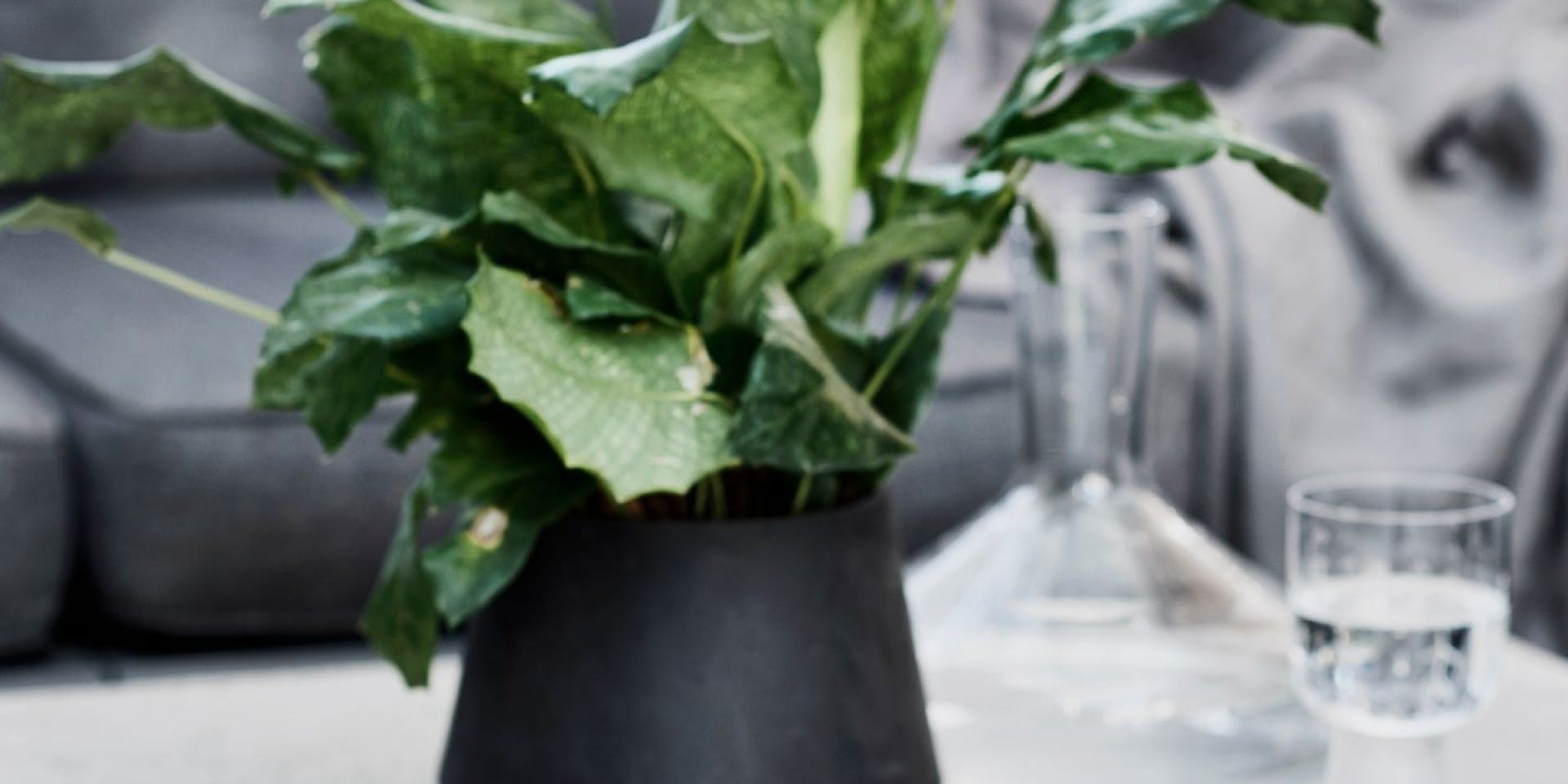 Concrete table makeover for the patio | detail Image