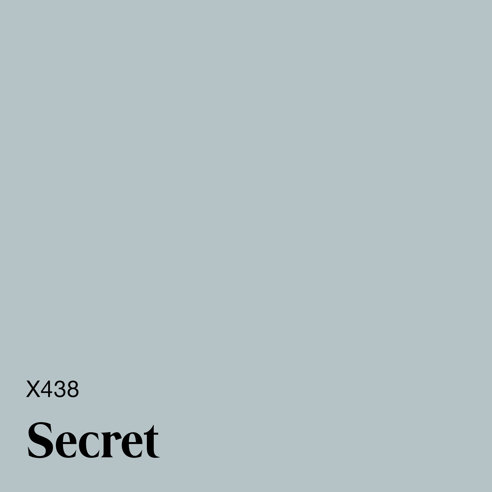 X438 Secret