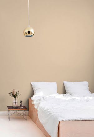Chip X462 bedroom wall