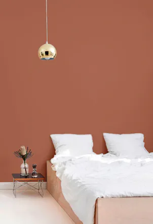 vibrant terracotta shade