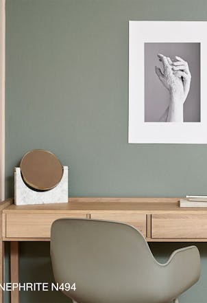 wall painted with Nerphite green