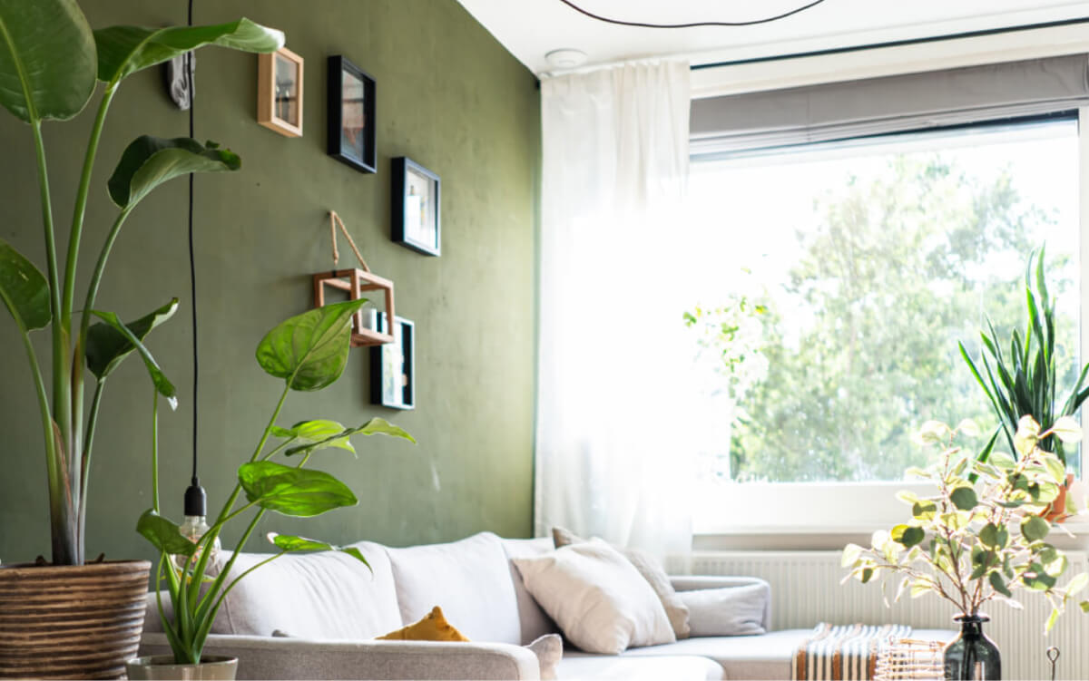 5 Green Living Room Colour Schemes to Brighten Your Home