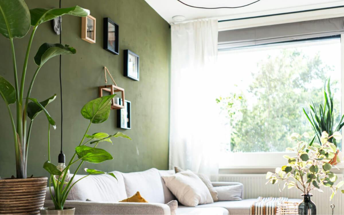 5 Green Living Room Colour Schemes to Brighten Your Home
