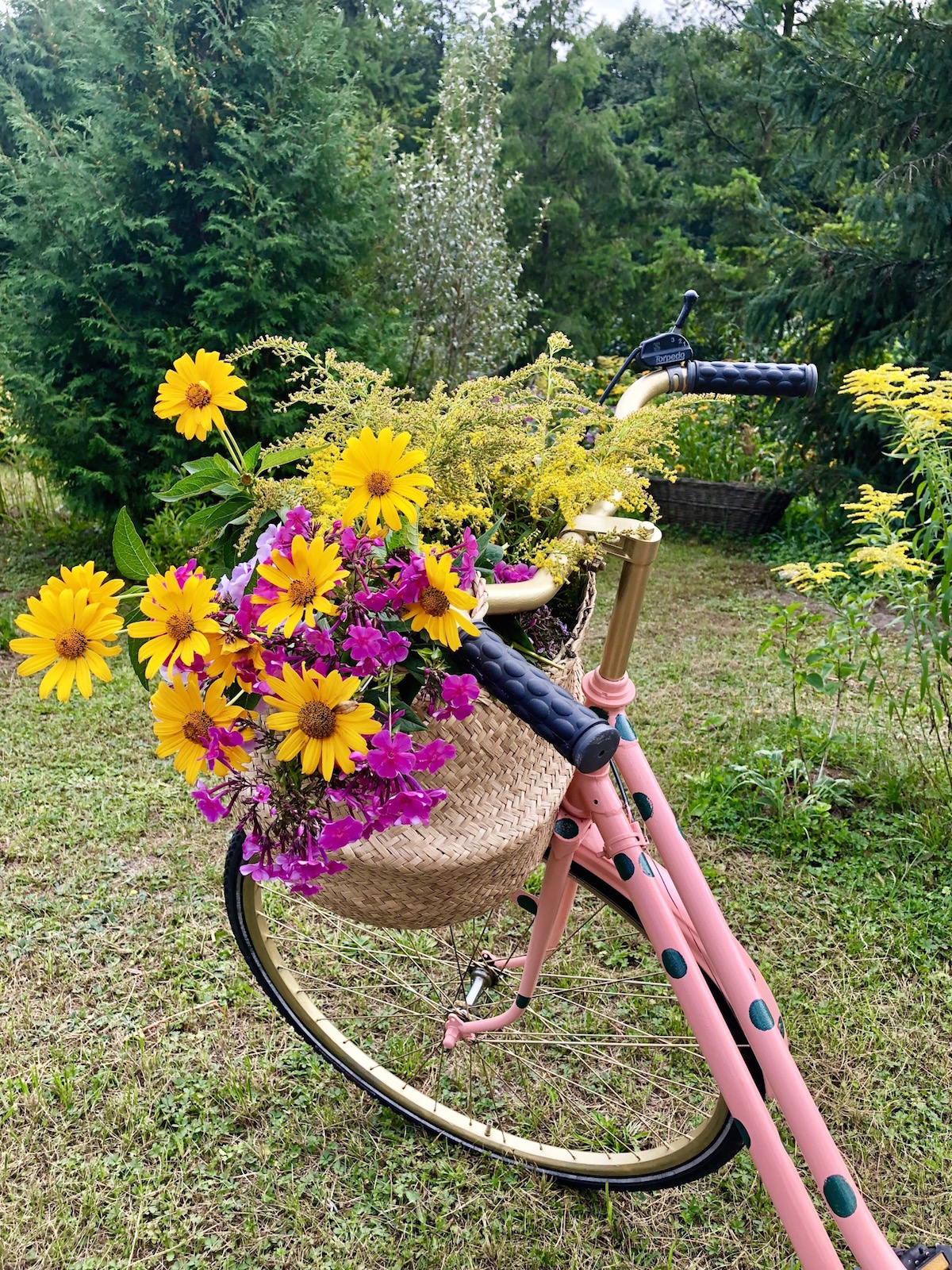 Pink Bicycle with Basket of Yellow and Pink Flowers