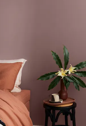 Wall painted with Salon S478