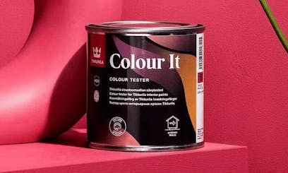 paint sample tin against hot pink wall