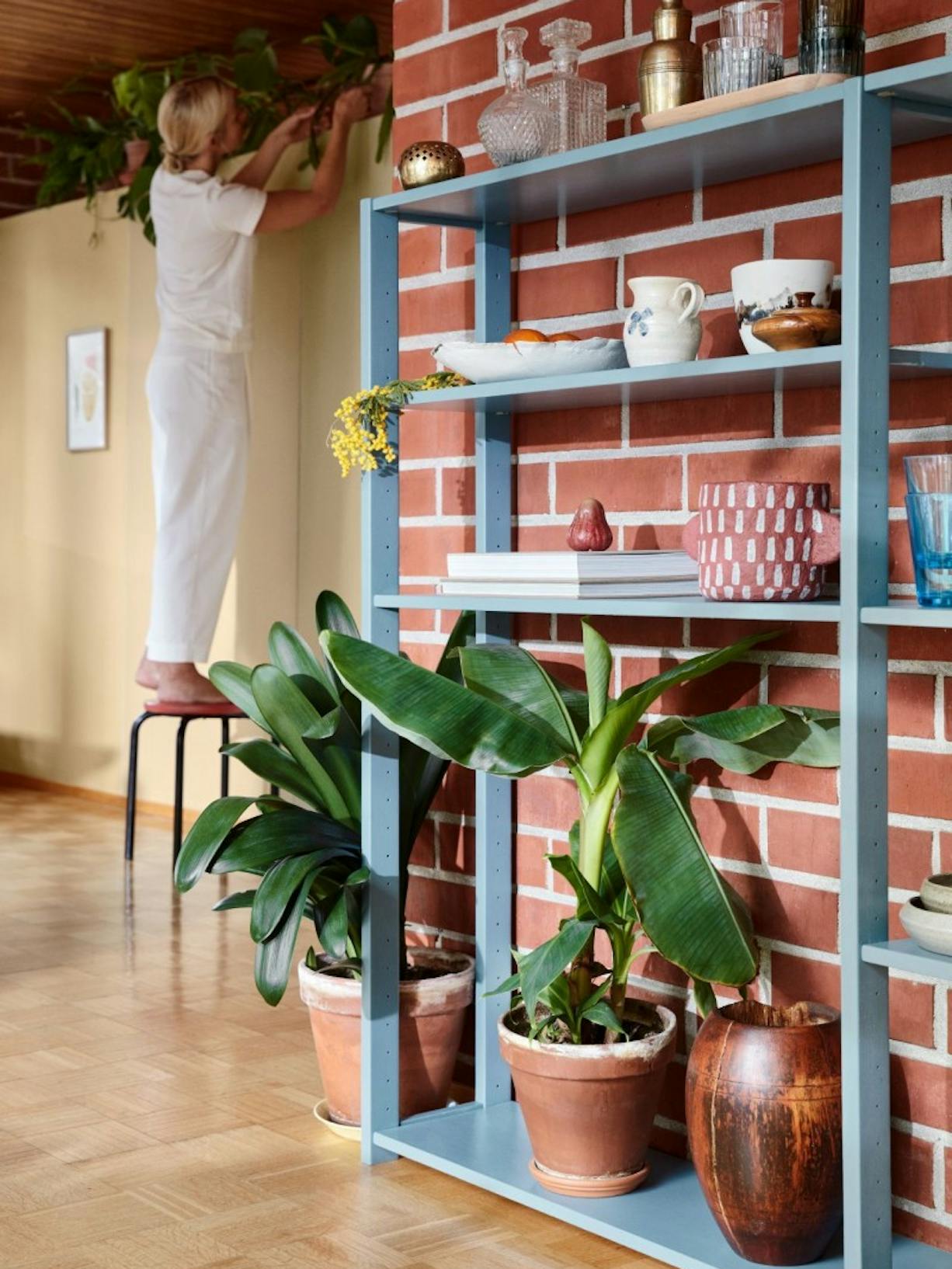 Woman Standing on a Chair Tending to Plants in a Yellow Room with Red Brick Wall