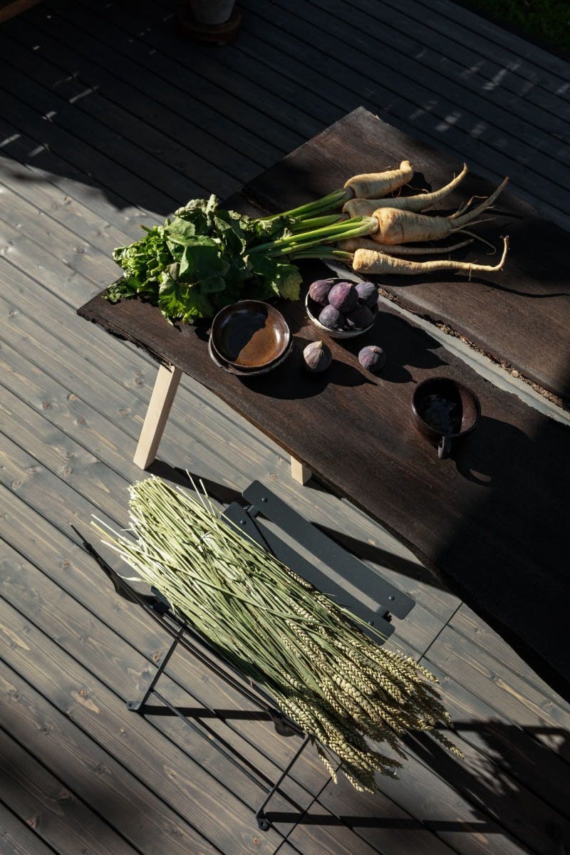 Table with plants on it