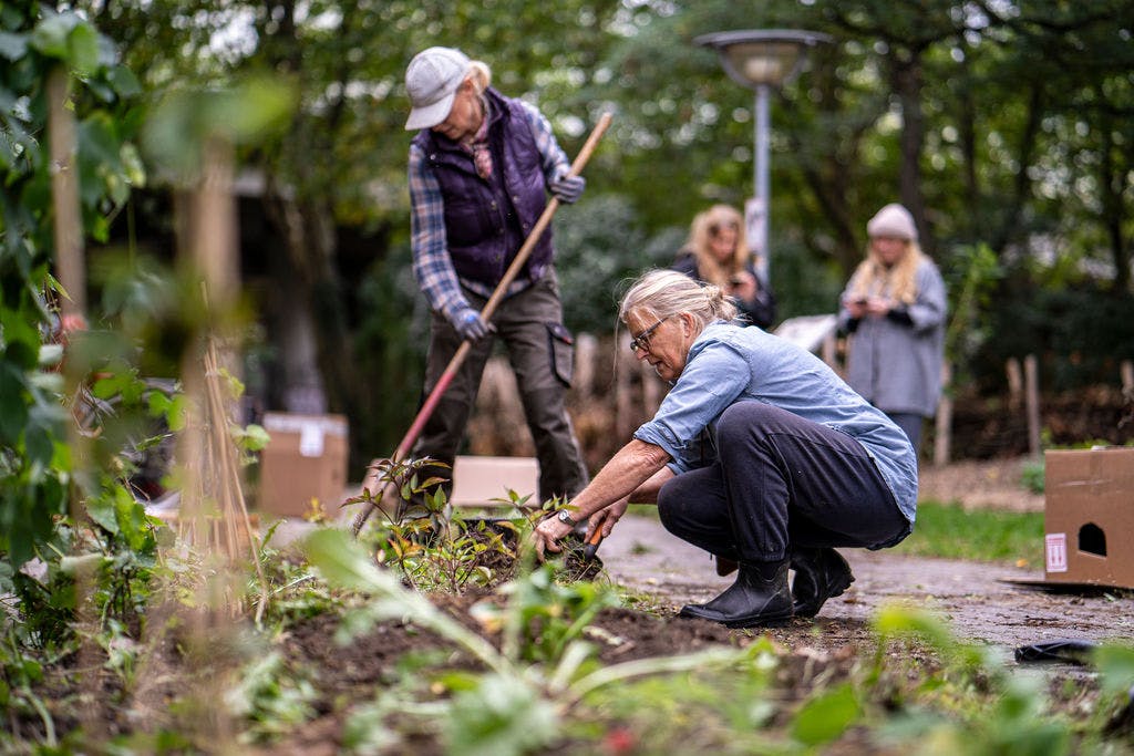 Gardening is Activism af Skye Jin. Foto: David Lundbye.