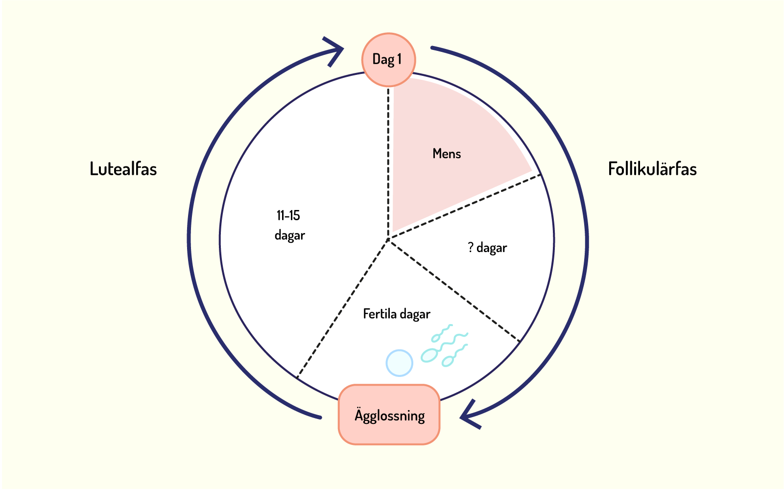 Illustration menscykel