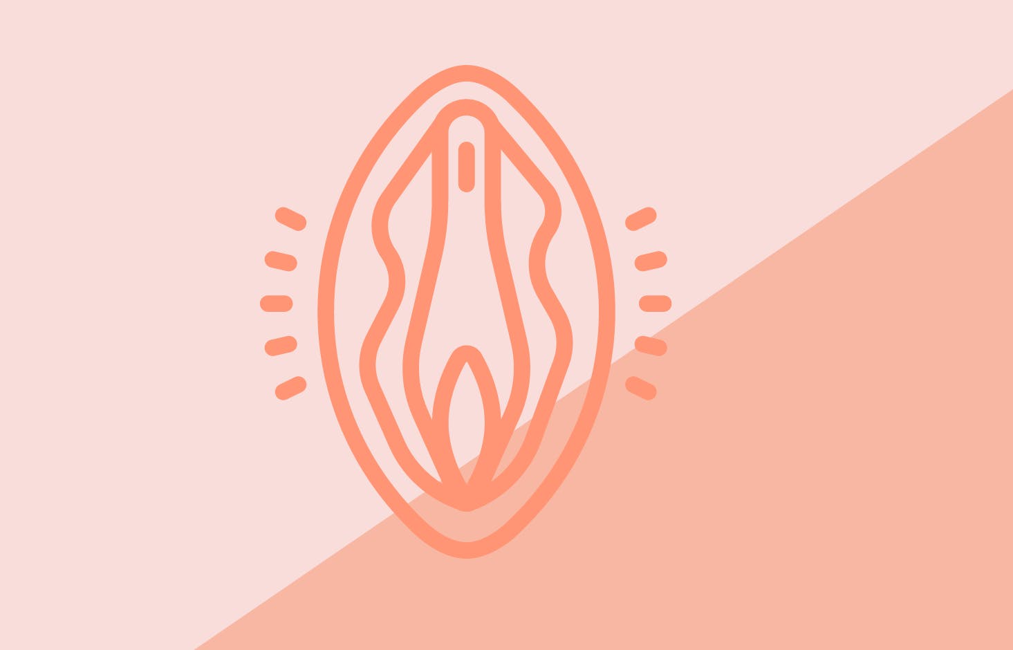 Illustration av vagina