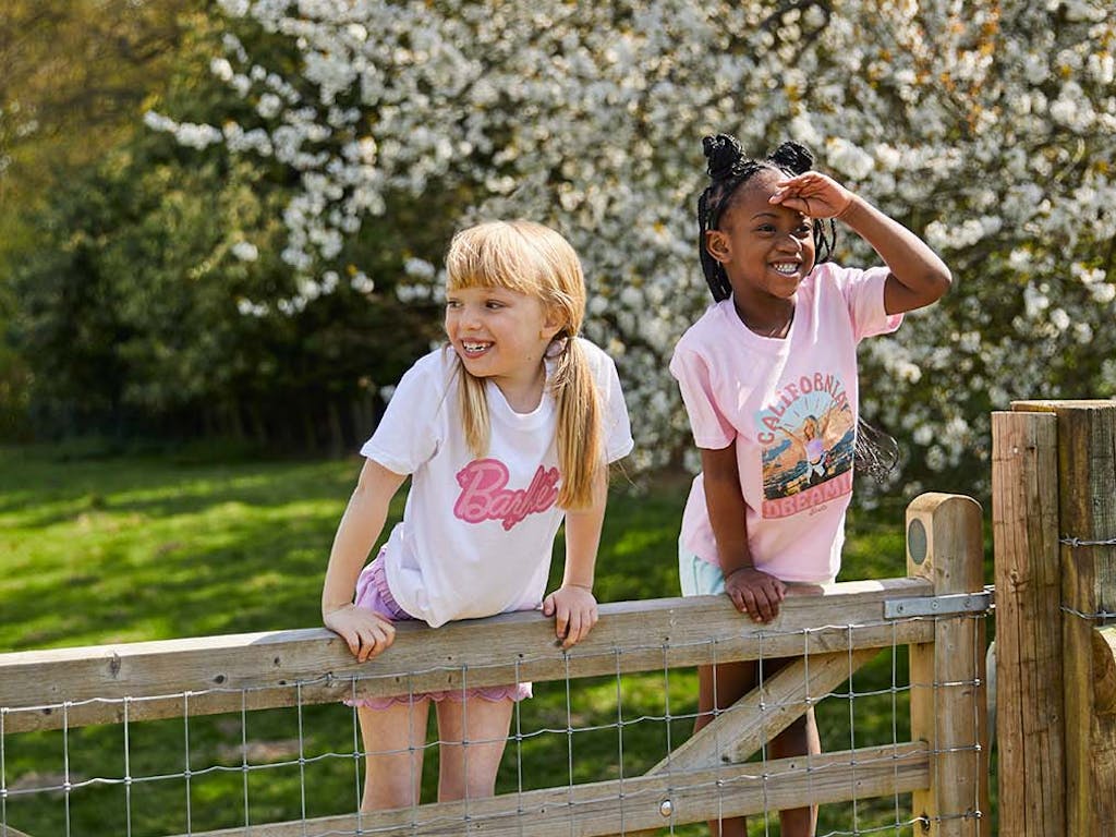 Two young girls, dressed in Barbie T shirts climbing a wooden gate in front of a blossom tree in the sunshine
