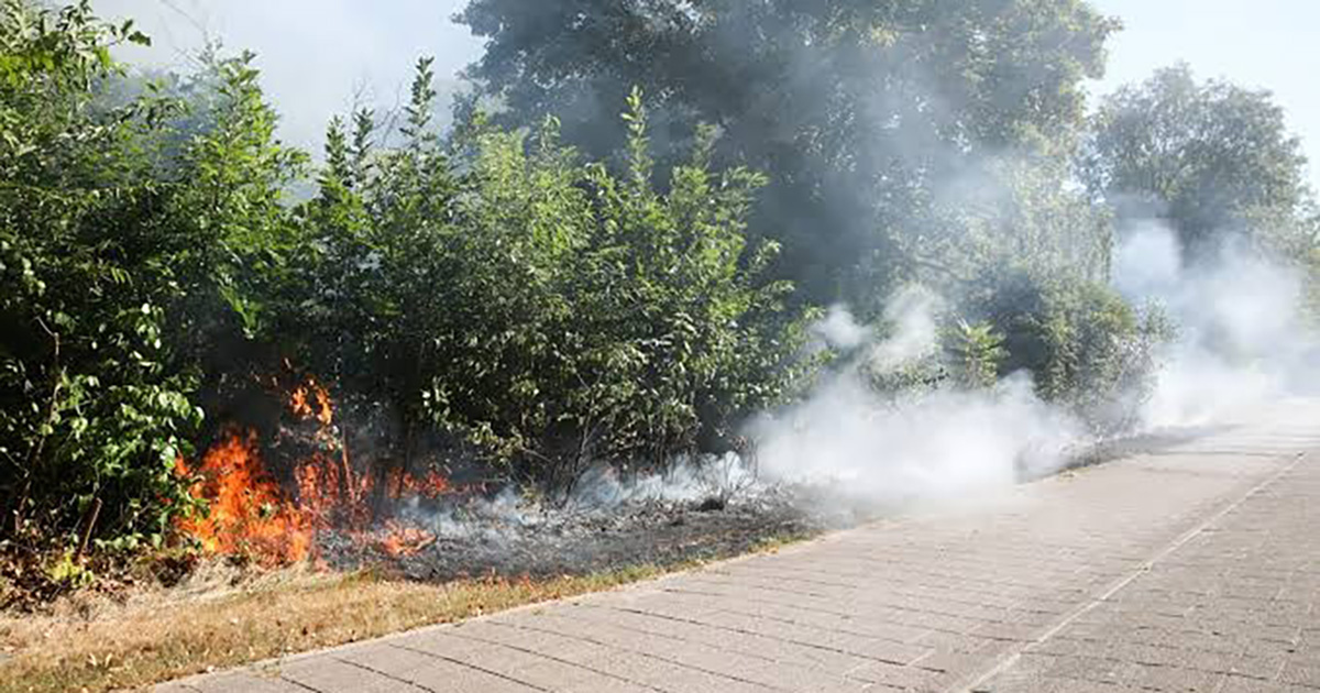 Gevaarlijke bermbrand Wageningen roept vraagtekens op