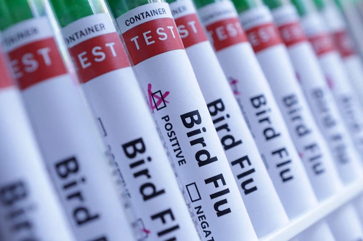 Bird flu spreads to mammals