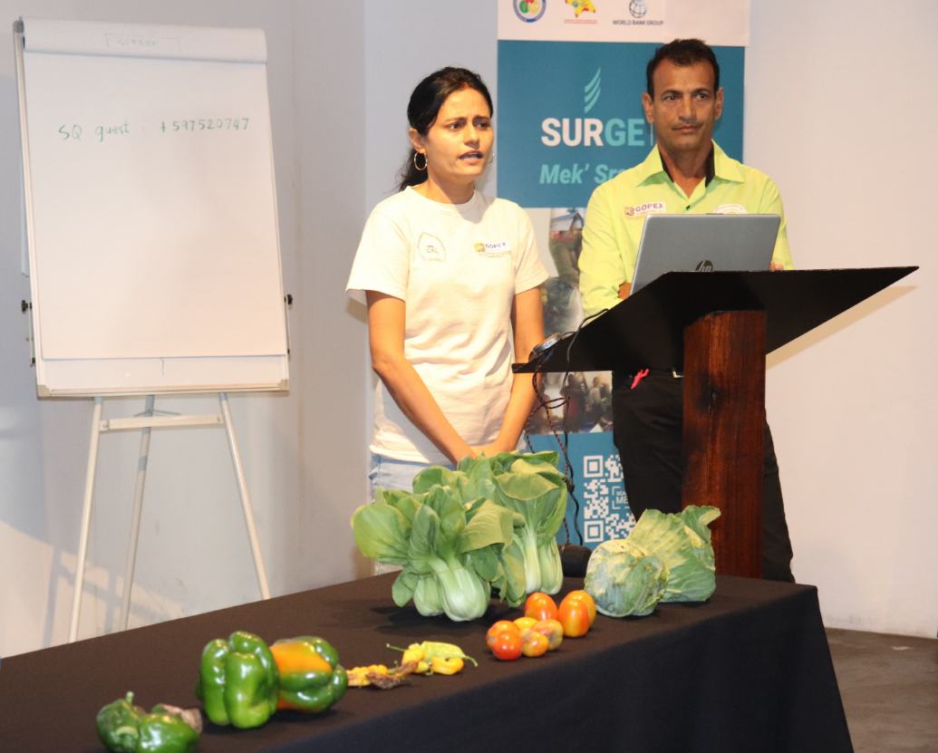 Impact van SURGE-project wordt nagegaan