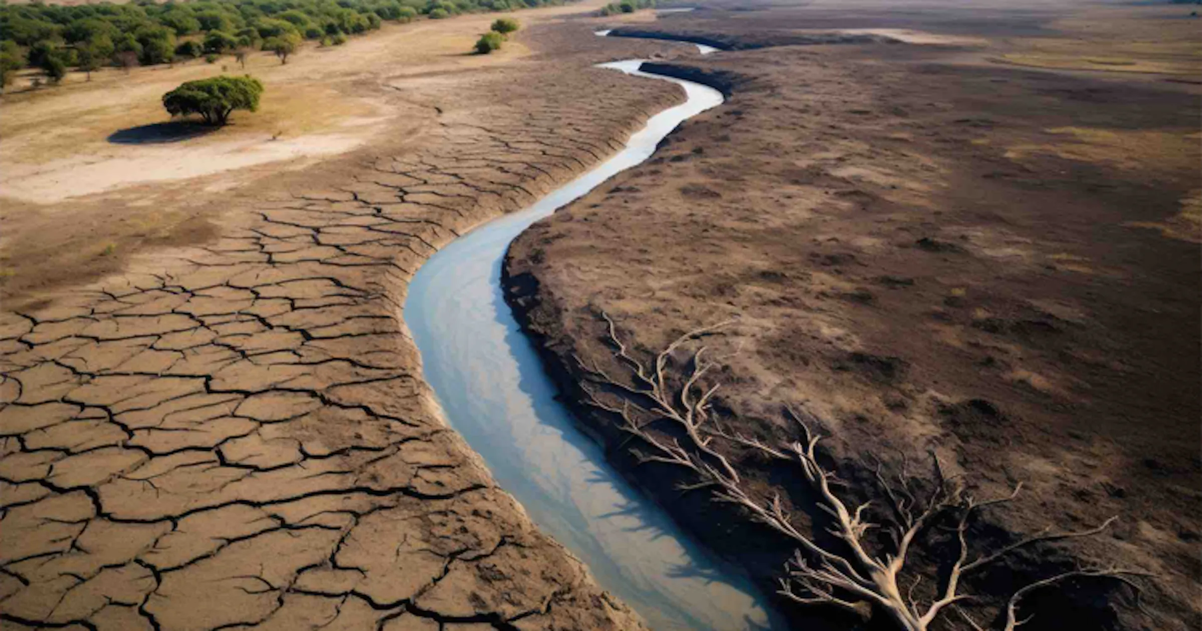 Water In Brazil Brazilian Amazon waters recover after two years of drought