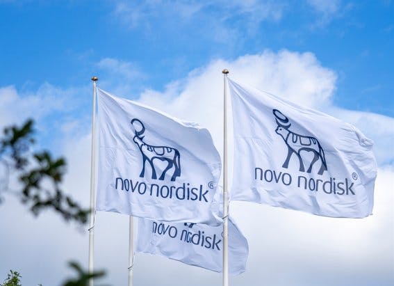 Novo Nordisk logotyp på flaggor